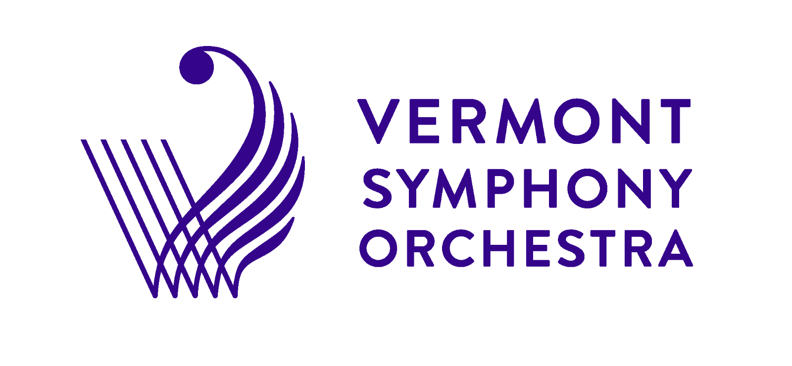 VSO_Logo_Horiz_Purple.png